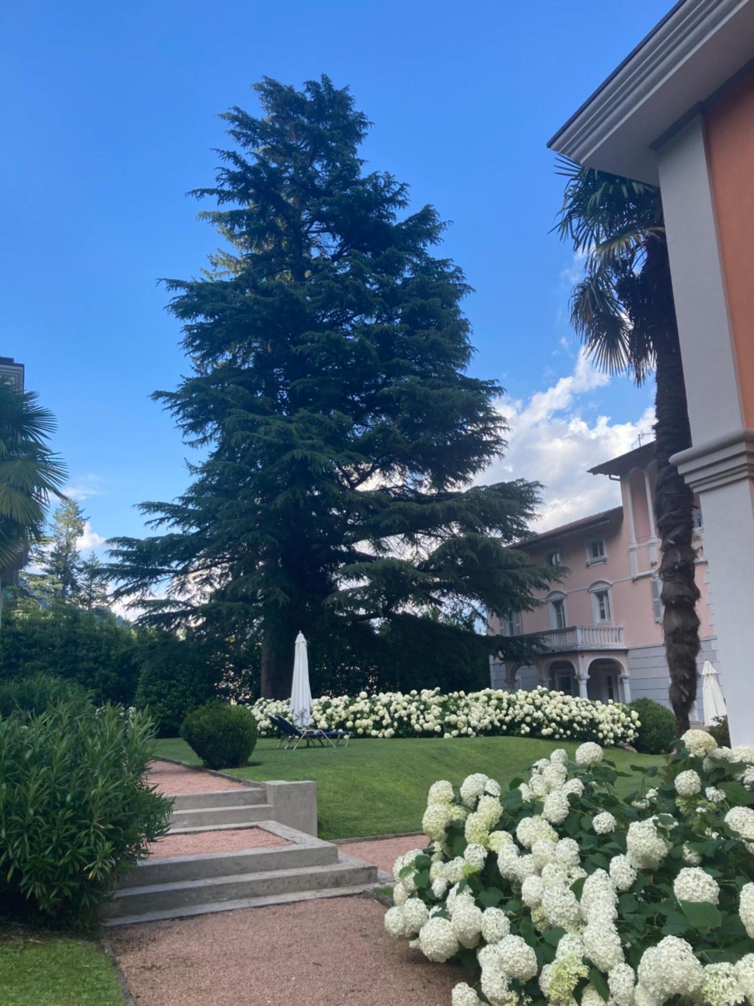 Ville Lago Lugano Porto Ceresio Esterno foto